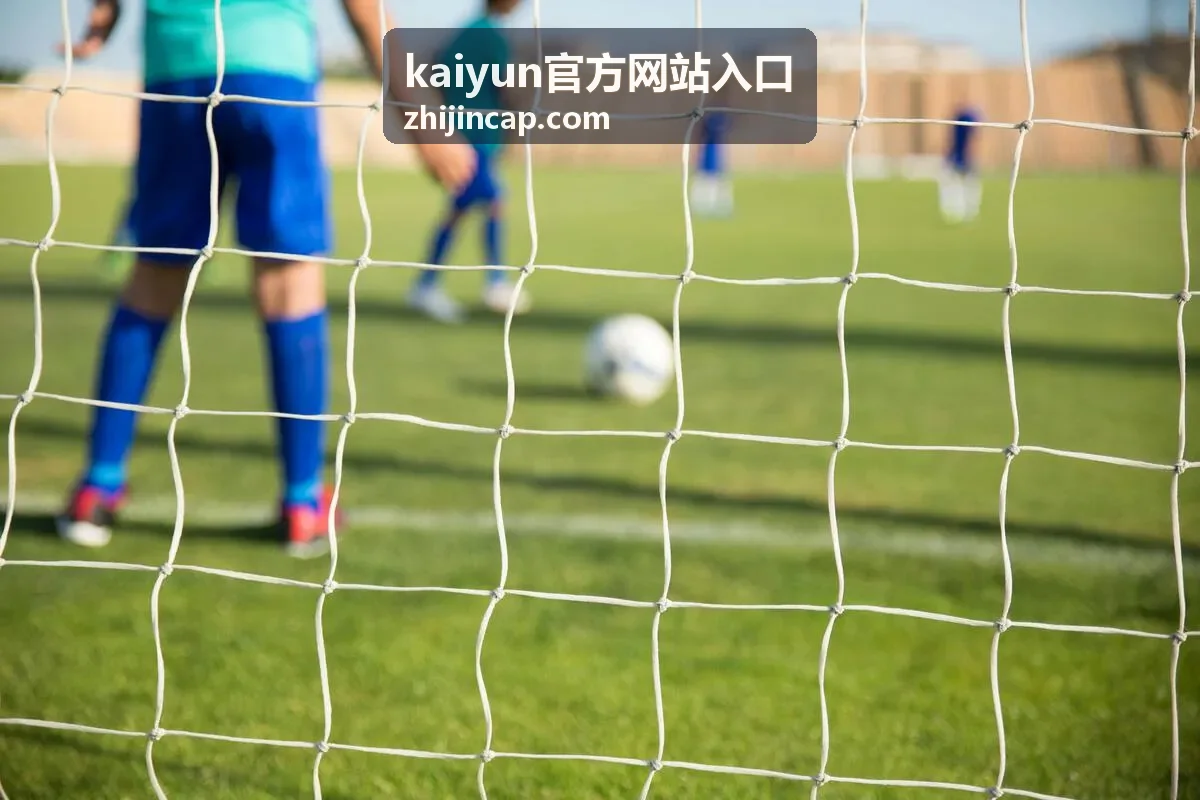 kaiyun官方网站入口入口导航示意配图