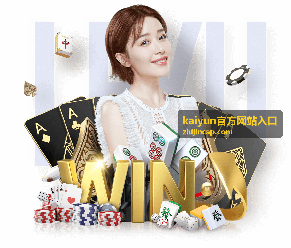kaiyun官方网站入口 使用指南中的入口页面核对示意